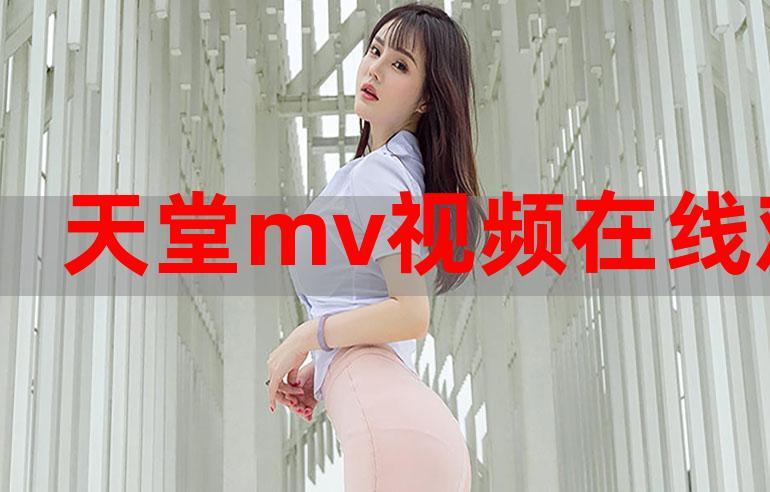 欧美MV日韩MV国产网站