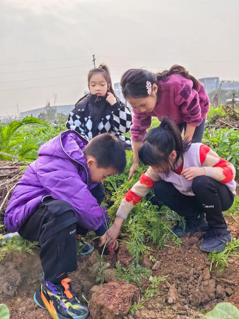 女孩子怎么体验拔萝卜的感觉