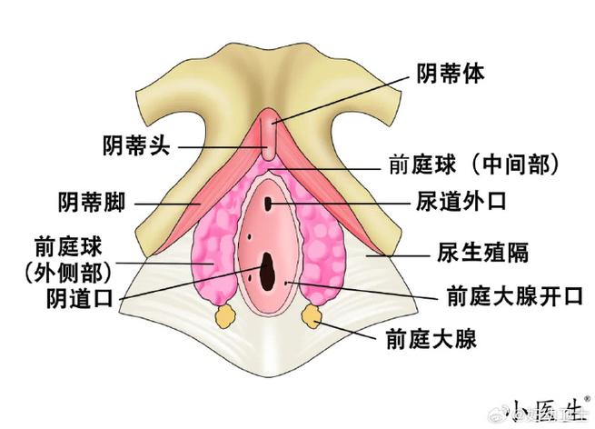 大BBBBB与小BBBBBB的区别