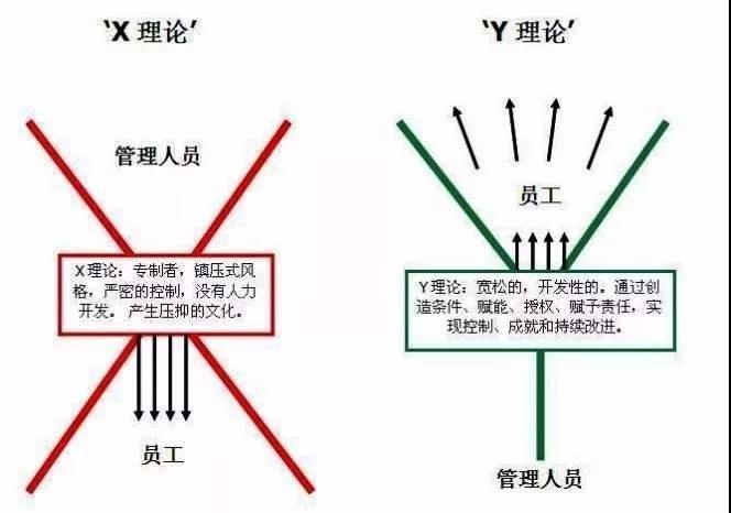 人性理论与XY理论的关系