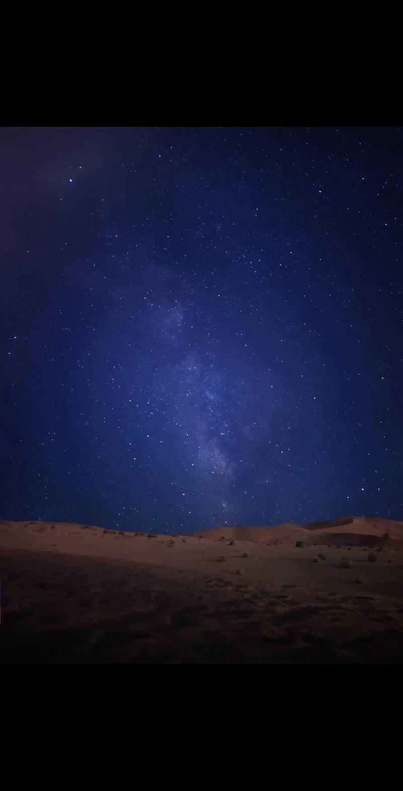 天美果冻星空大象视频